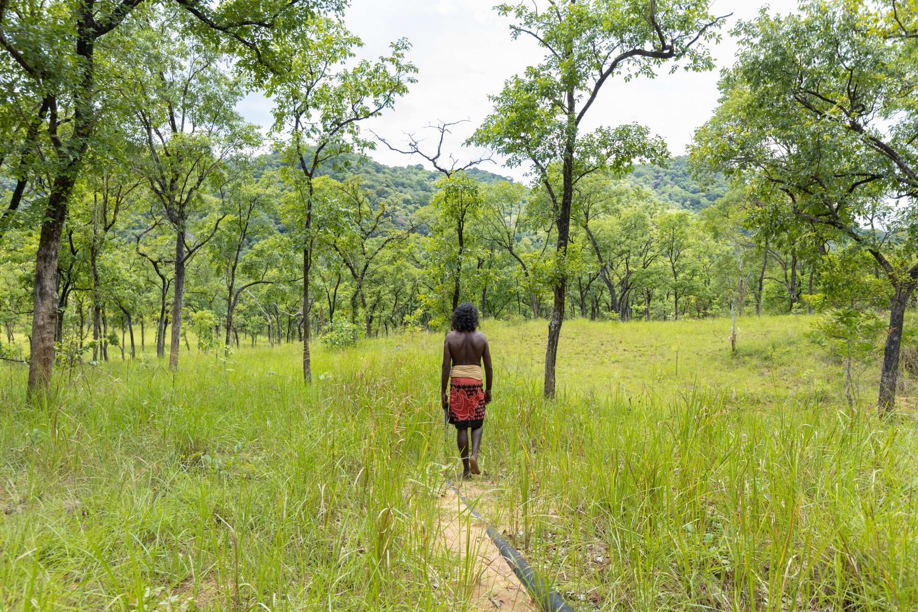 Wild Glamping Gal Oya